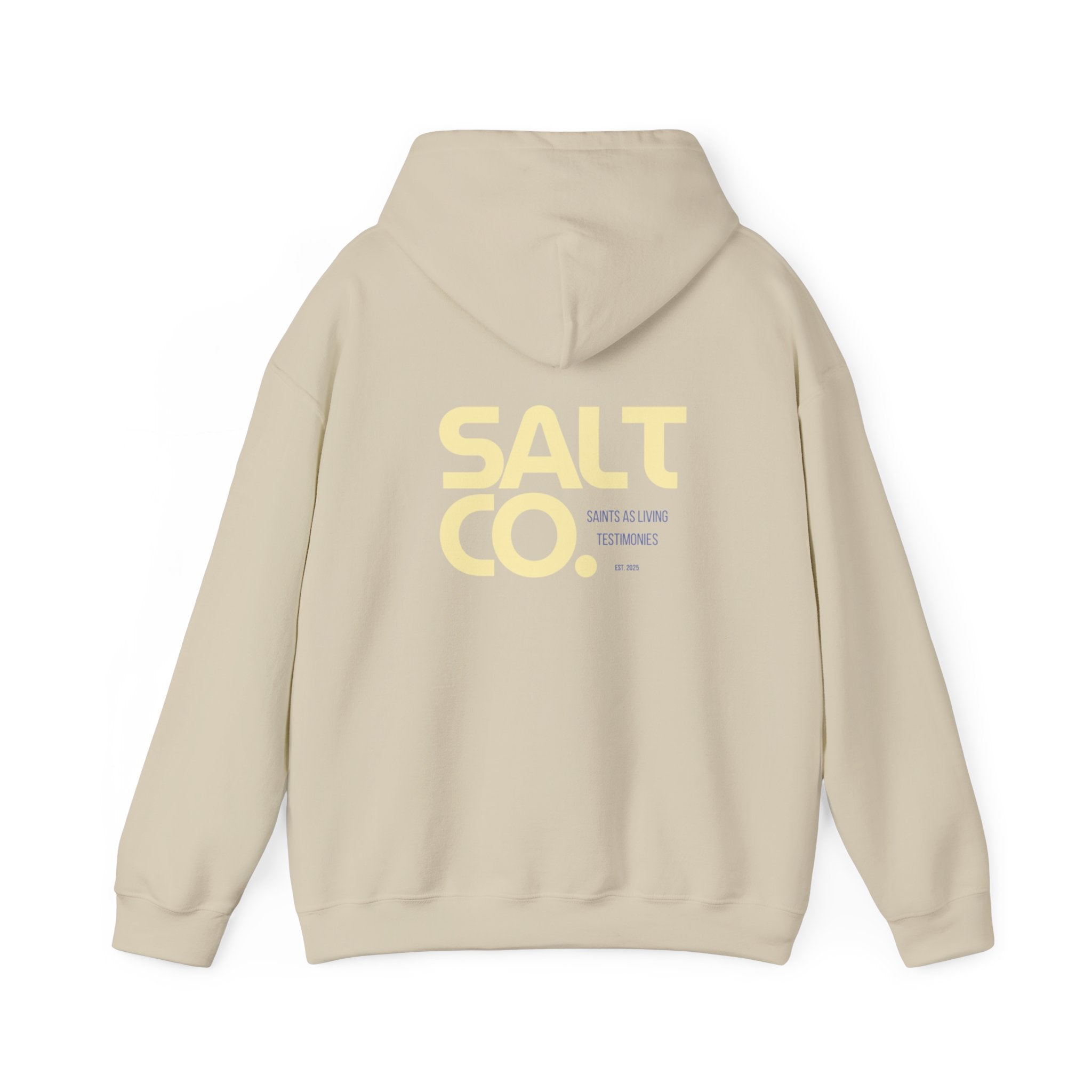 Salt Co. Minimal Logo Hoodie — Coastal-Inspired Neutral Pullover