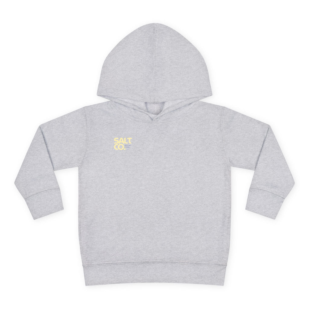Toddler Hoodie — Salt Co. Logo Pullover Fleece