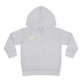 Toddler Hoodie — Salt Co. Logo Pullover Fleece