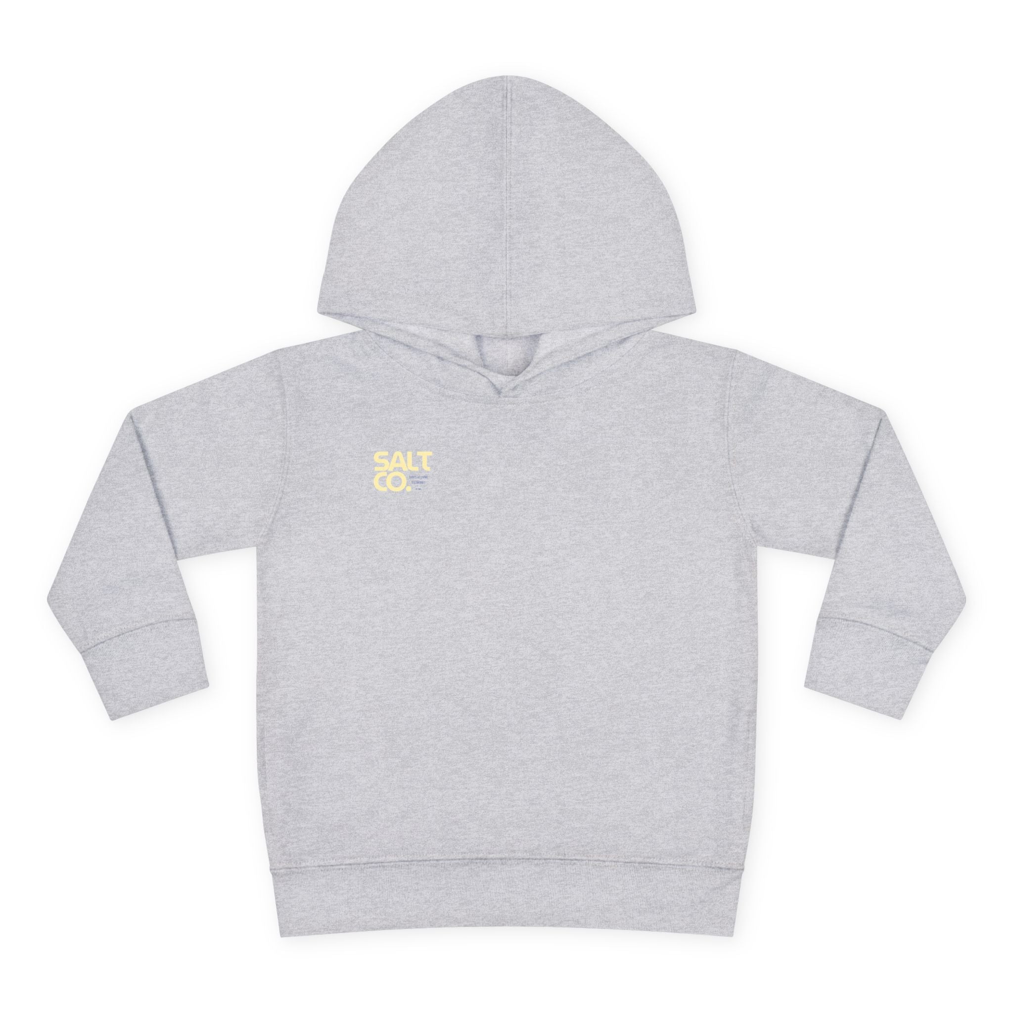 Toddler Hoodie — Salt Co. Logo Pullover Fleece