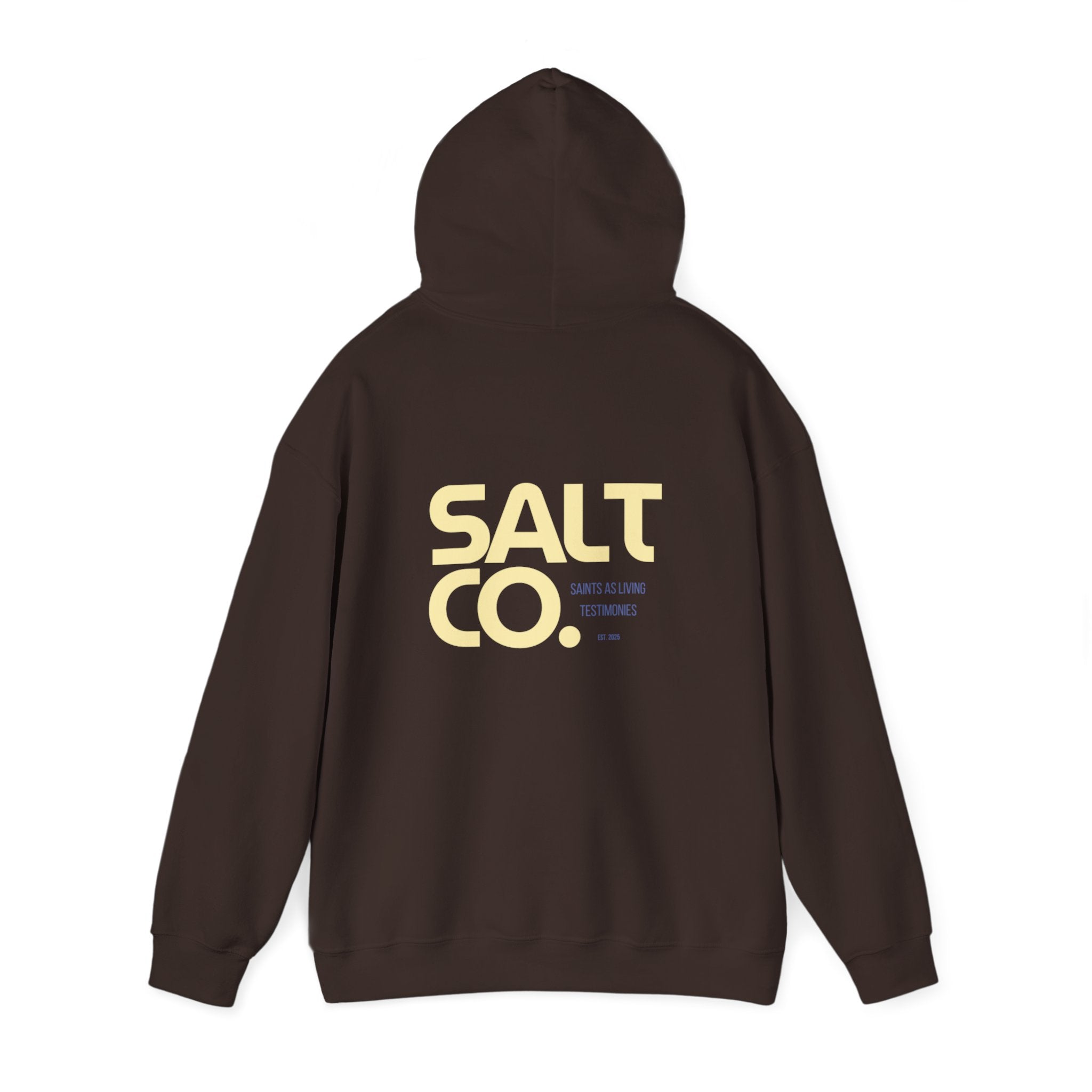 Salt Co. Minimal Logo Hoodie — Coastal-Inspired Neutral Pullover