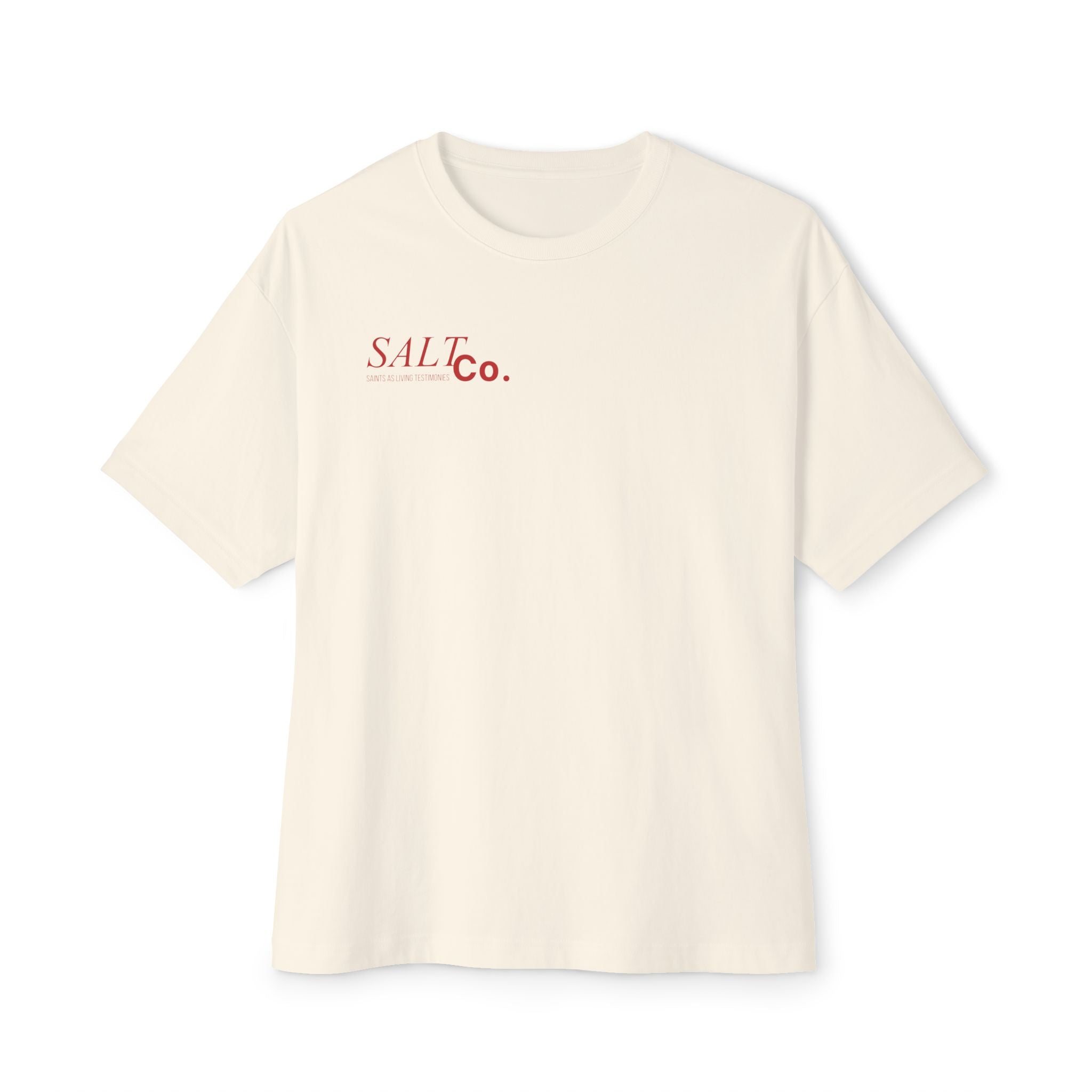 Salt Co. Oversized Tee — Minimal Sailboat Graphic Back, Nautical Casual Shirt