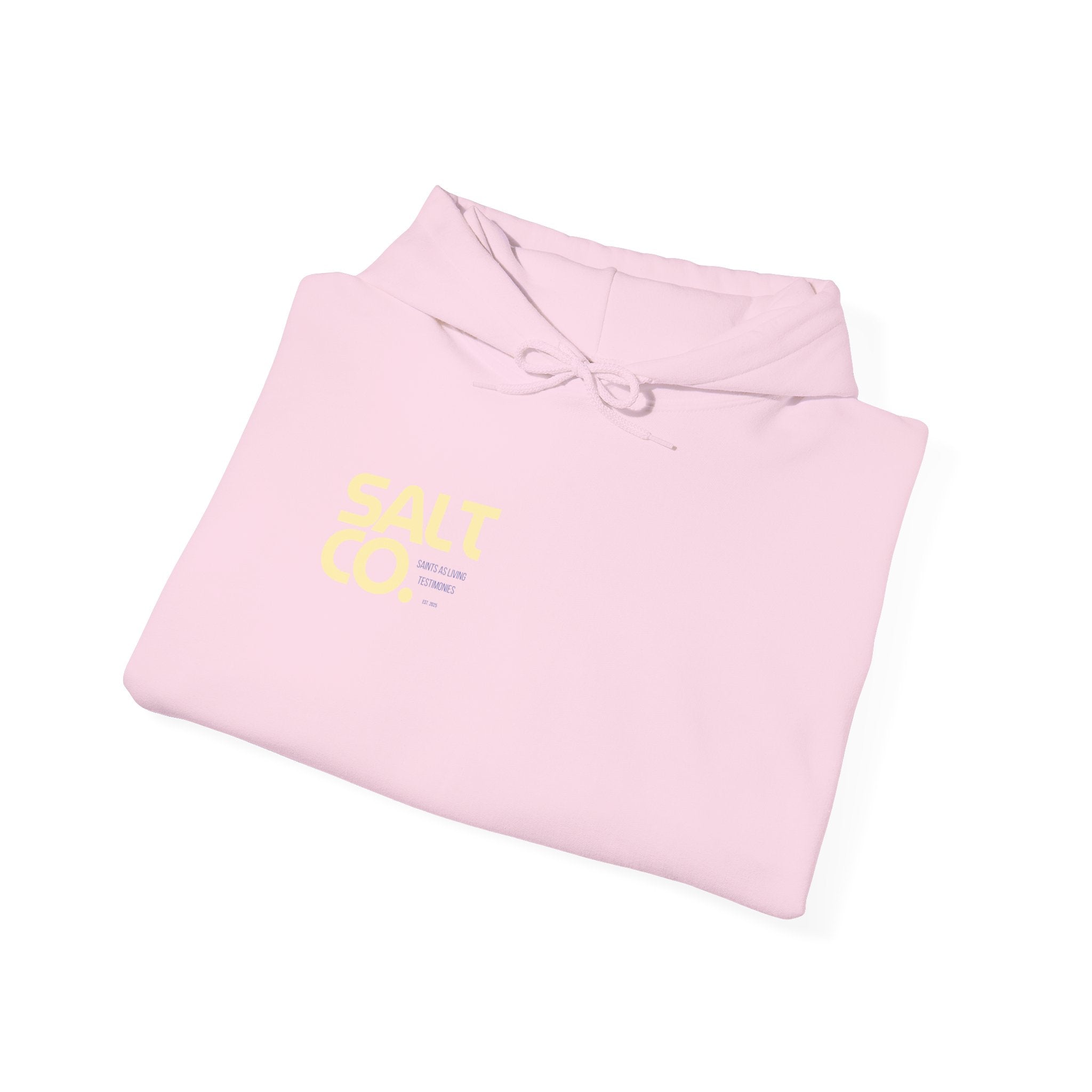 Salt Co. Minimal Logo Hoodie — Coastal-Inspired Neutral Pullover